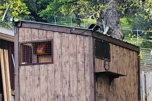 9390 Platina Rd, Ono, CA 96047 - Photo 45