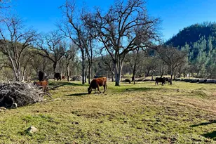 9390 Platina Rd, Ono, CA 96047 - Photo 17