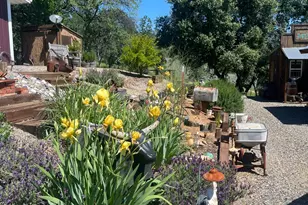 9390 Platina Rd, Ono, CA 96047 - Photo 47