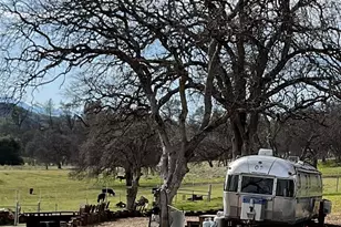 9390 Platina Rd, Ono, CA 96047 - Photo 11