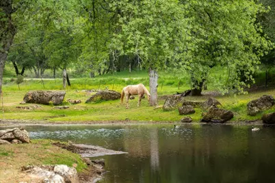 12242 Woodacre Road, Grass Valley, CA 95949 - Photo 35