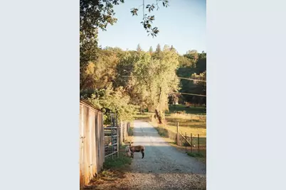 12242 Woodacre Road, Grass Valley, CA 95949 - Photo 53