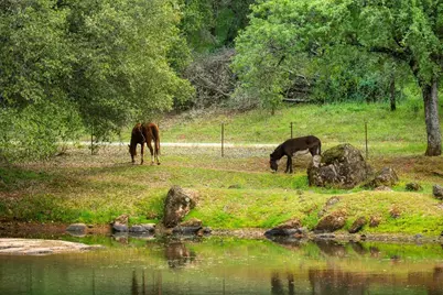 12242 Woodacre Road, Grass Valley, CA 95949 - Photo 9