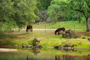 12242 Woodacre Rd, Grass Valley, CA 95949 - Photo 9