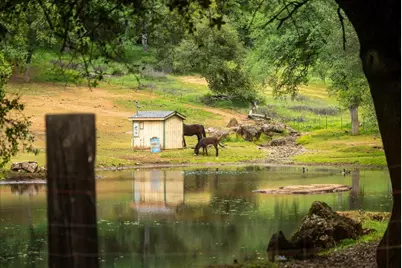 12242 Woodacre Road, Grass Valley, CA 95949 - Photo 39