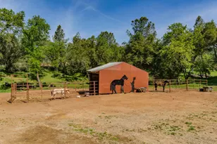 6910 Tonzi, Ione, CA 95640 - Photo 31