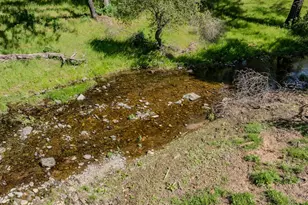 6910 Tonzi, Ione, CA 95640 - Photo 79