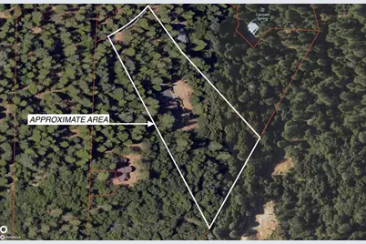 16150 Pinewood Drive, Pioneer, CA 95666 - Photo 73