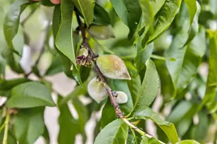 35670 Yellowstone Ave, Davis, CA 95616 - Photo 91