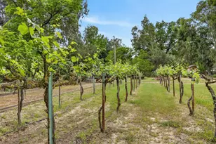 35670 Yellowstone Ave, Davis, CA 95616 - Photo 9