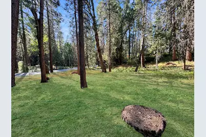 10624 Silver Way, Grass Valley, CA 95945 - Photo 19