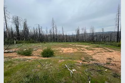 83 Oak Tree Lnae, Berry Creek, CA 95916 - Photo 1