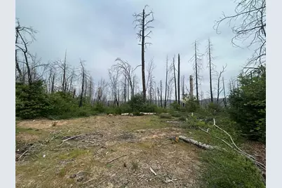 83 Oak Tree Lnae, Berry Creek, CA 95916 - Photo 3