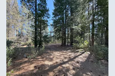 10543 Chuckleberry Drive, Nevada City, CA 95959 - Photo 9