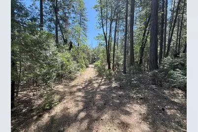 10543 Chuckleberry Drive, Nevada City, CA 95959 - Photo 21