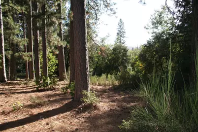 651 Chief Kelly Drive, Nevada City, CA 95959 - Photo 3