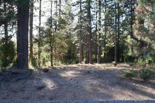 651 Chief Kelly Dr, Nevada City, CA 95959 - Photo 1