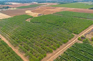 10464 E Herndon Ave, Clovis, CA 93619 - Photo 45