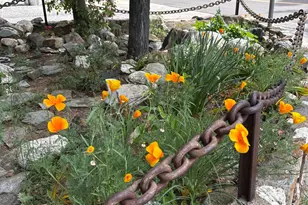 526 Mill St, Grass Valley, CA 95945 - Photo 73