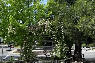 526 Mill St, Grass Valley, CA 95945 - Photo 71