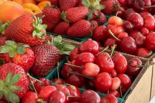 10464 State Hwy 70, Marysville, CA 95901 - Photo 35