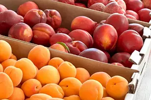 10464 State Hwy 70, Marysville, CA 95901 - Photo 31