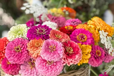 10464 State Highway 70, Marysville, CA 95901 - Photo 23