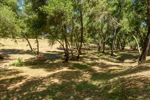 13885 Wilma Ct, Fiddletown, CA 95629 - Photo 39