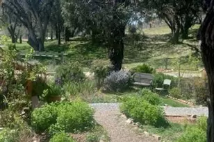 15579 Jesus Maria, Mokelumne Hill, CA 95245 - Photo 81