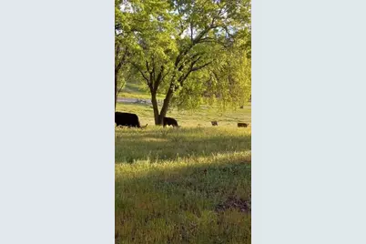 15579 Jesus Maria, Mokelumne Hill, CA 95245 - Photo 85