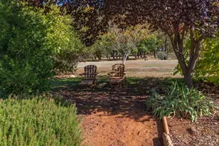 15579 Jesus Maria, Mokelumne Hill, CA 95245 - Photo 45