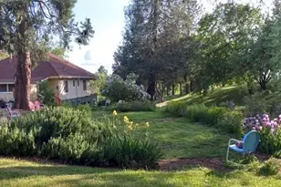 15579 Jesus Maria, Mokelumne Hill, CA 95245 - Photo 1