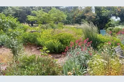 15579 Jesus Maria, Mokelumne Hill, CA 95245 - Photo 89