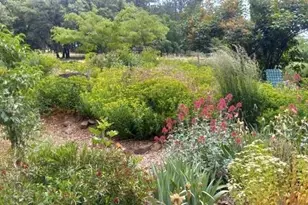 15579 Jesus Maria, Mokelumne Hill, CA 95245 - Photo 89