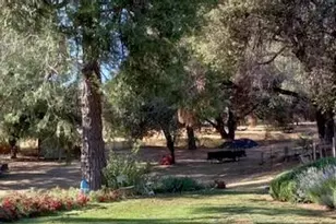 15579 Jesus Maria, Mokelumne Hill, CA 95245 - Photo 79