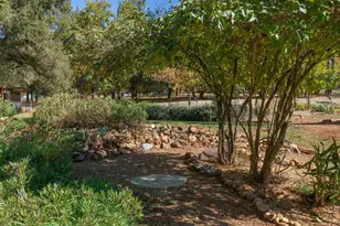 15579 Jesus Maria, Mokelumne Hill, CA 95245 - Photo 43