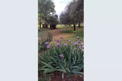 15579 Jesus Maria, Mokelumne Hill, CA 95245 - Photo 83