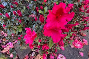 Sunrise Blvd, Citrus Heights, CA 95610 - Photo 15