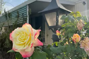 Sunrise Blvd, Citrus Heights, CA 95610 - Photo 13