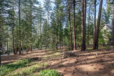 2041 Baywood View, Arnold, CA 95223 - Photo 47