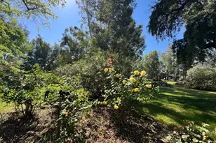 12188 Clay Station Rd, Herald, CA 95638 - Photo 25