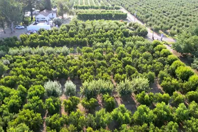 10464 State Highway 70, Marysville, CA 95901 - Photo 39