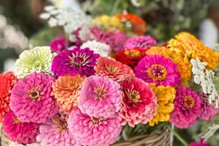 10464 State Hwy 70, Marysville, CA 95901 - Photo 23