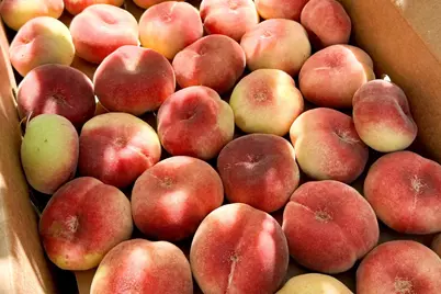 10464 State Highway 70, Marysville, CA 95901 - Photo 15