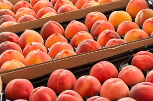 10464 State Hwy 70, Marysville, CA 95901 - Photo 13