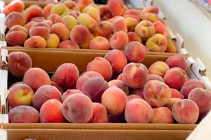 10464 State Hwy 70, Marysville, CA 95901 - Photo 19