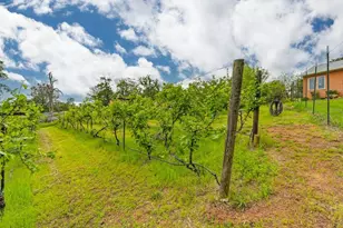 16599 Mackinaw Way, Grass Valley, CA 95949 - Photo 71