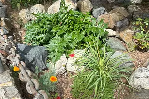 526 Mill St, Grass Valley, CA 95945 - Photo 49