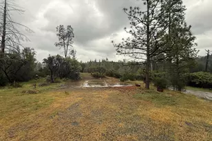 485 Manzanita Trl, Georgetown, CA 95634 - Photo 1