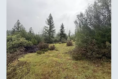 485 Manzanita Trail, Georgetown, CA 95634 - Photo 13